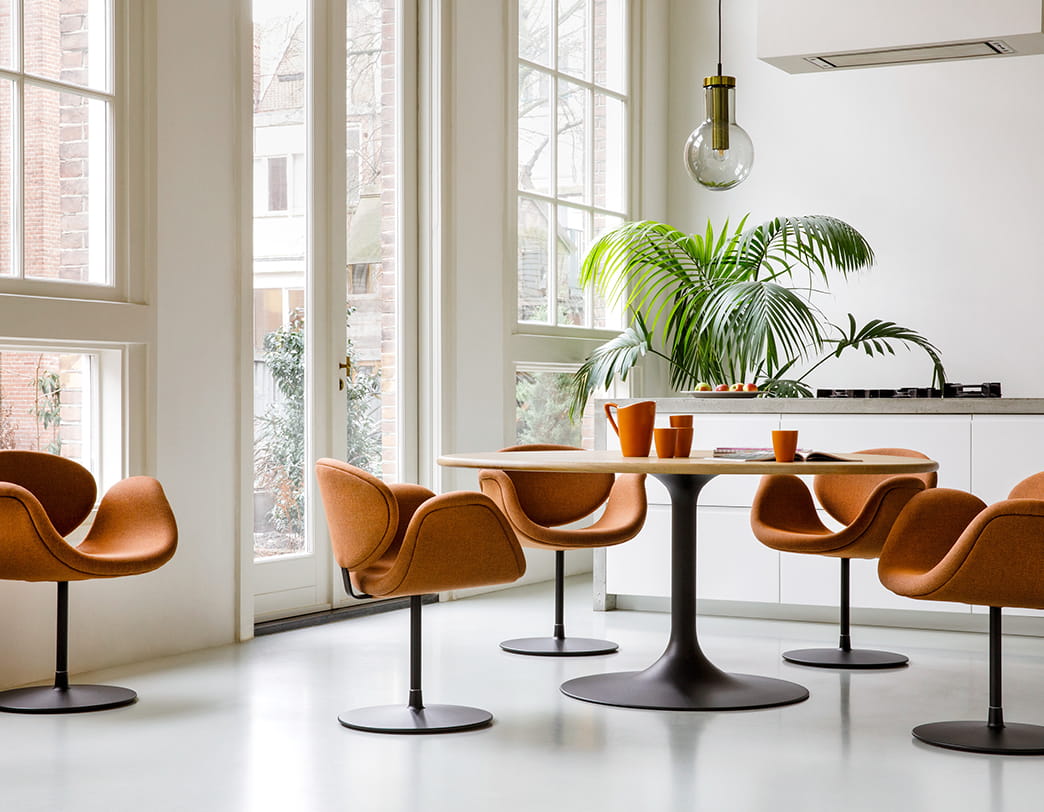 リトルチューリップ® Little Tulip® アームチェア / ディスクベース F163