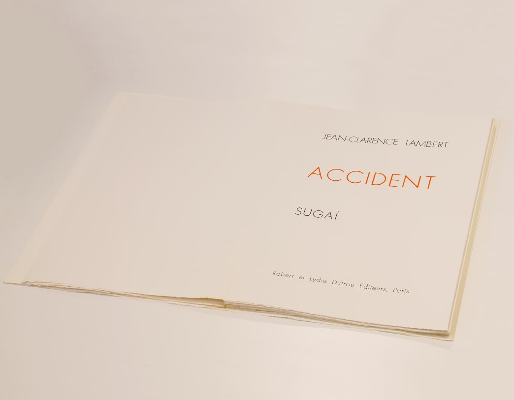 ACCIDENT 挿画本 / Kumi Sugai