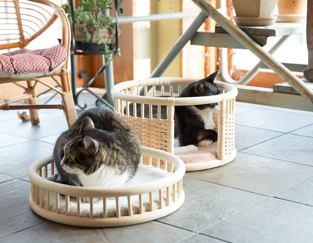 ツルヤ商店 ネジロ nejiro 猫ハウス│名作デザイナーズ家具のインテリアショップ METROCS 公式オンラインストア