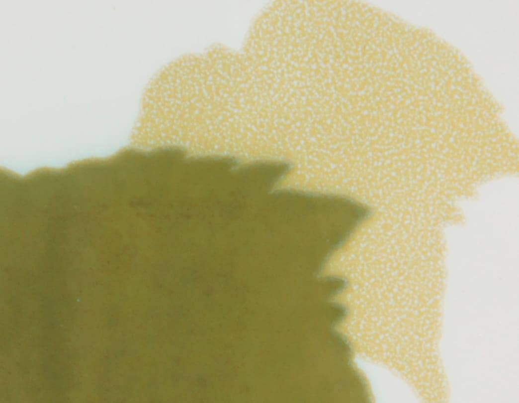 Capodimonte -Foglie Vintage Tile [Green] フレームセット / Gio Ponti