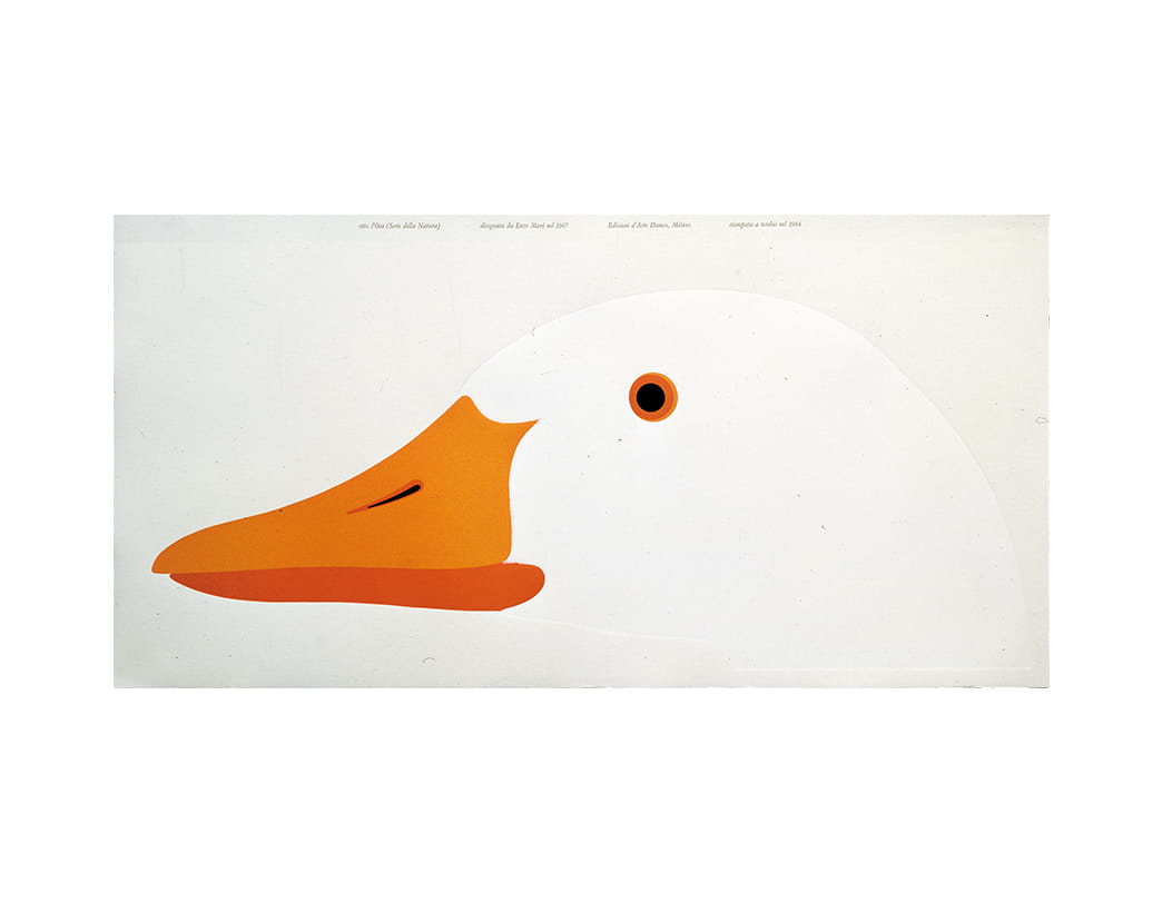 OTTO,L’OCA / SERIE DELLA NATURA