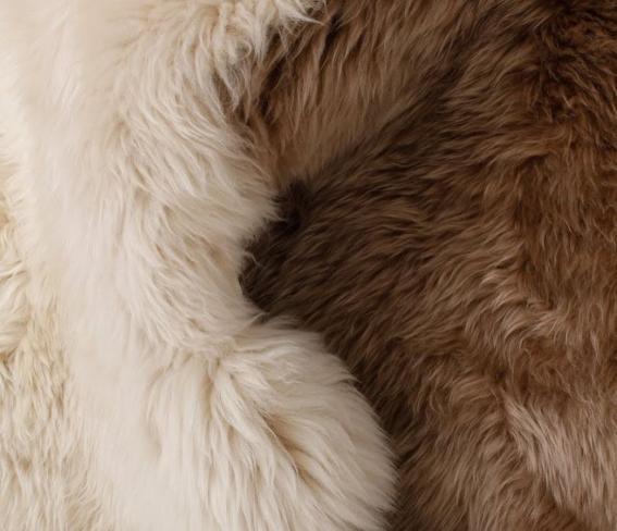 家具も冬支度しよう。