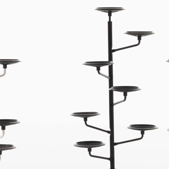 ザノッタのアルベロが特価!