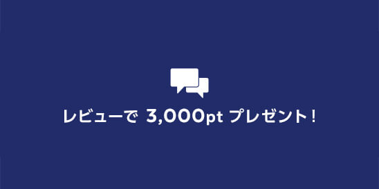 レビューで3,000ptプレゼント!