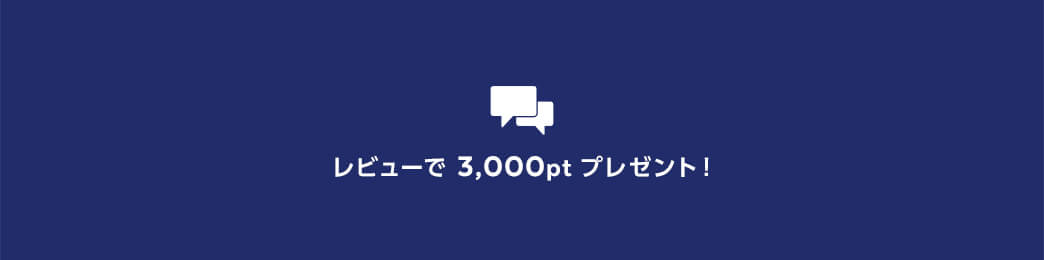 レビューで3,000ptプレゼント!